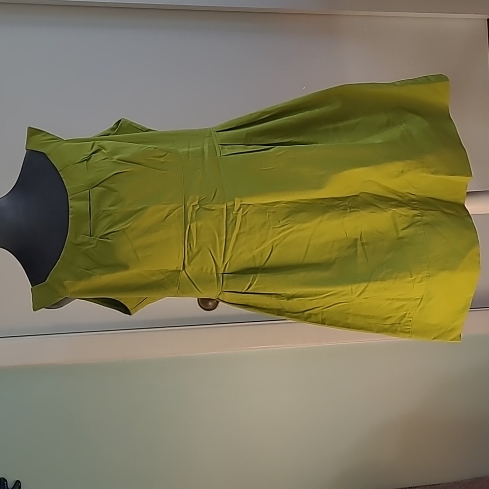 Madison Leigh Green Dress